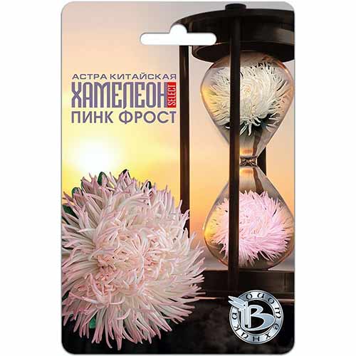 Астра китайская Хамелеон селект Пинк Фрост Биотехника