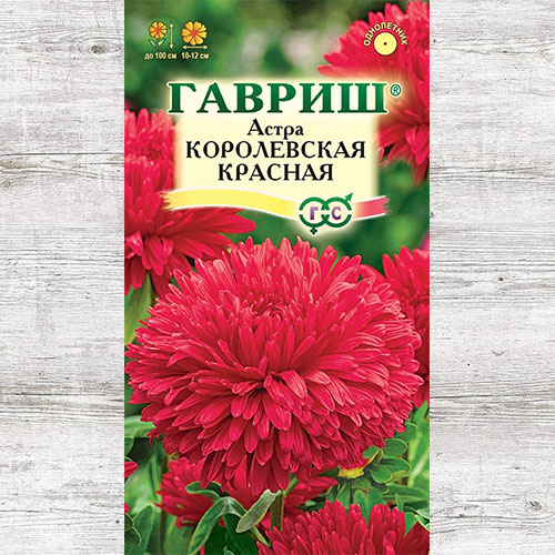 Астра Королевская красная Гавриш
