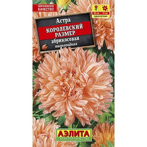 Астра Королевский размер абрикосовая Аэлита