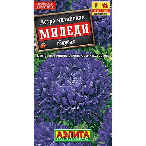 Астра пионовидая Миледи голубая Аэлита