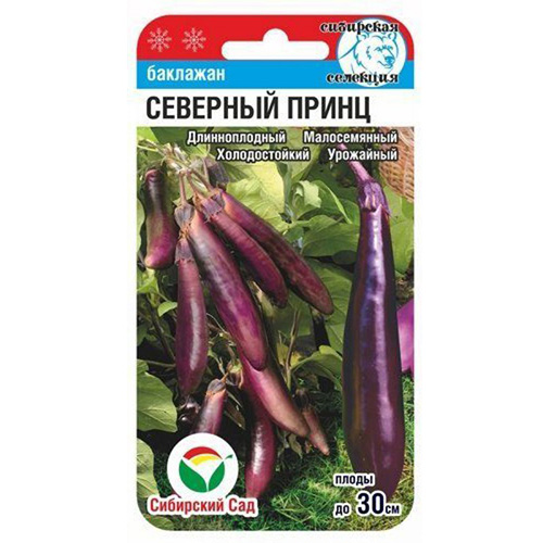 Баклажан Северный принц Сибирский сад