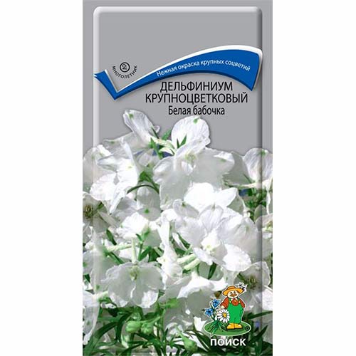 Дельфиниум Белая бабочка Поиск