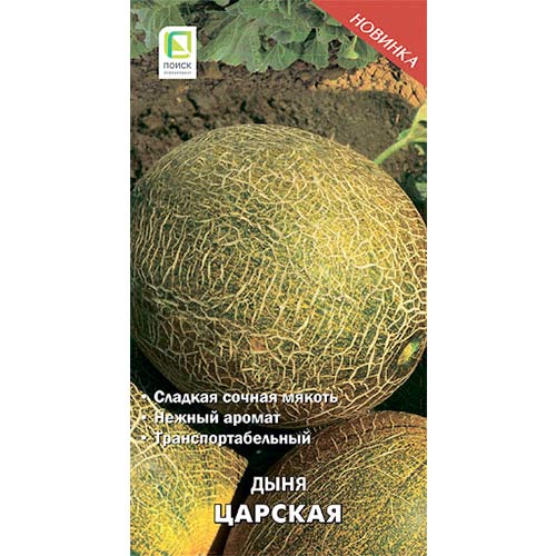Дыня Царская Поиск