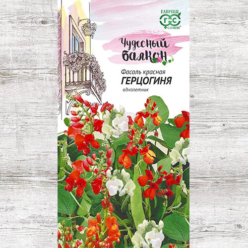 Фасоль декоративная Герцогиня Гавриш