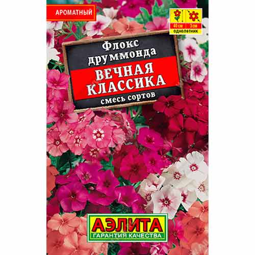 Флокс друммонда Вечная классика, смесь окрасок Аэлита