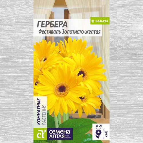 Гербера Фестиваль золотисто-желтая