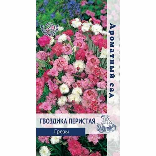 Гвоздика перистая Грезы, смесь окрасок Поиск