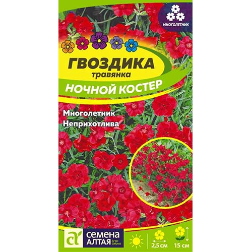 Гвоздика травянка Ночной костер Семена Алтая