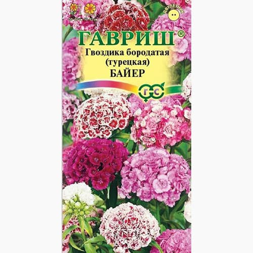 Гвоздика (турецкая) бородатая Байер, смесь окрасок Гавриш