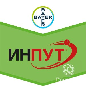 Инпут