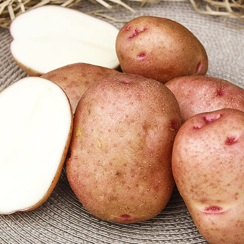 Картофель Гранд