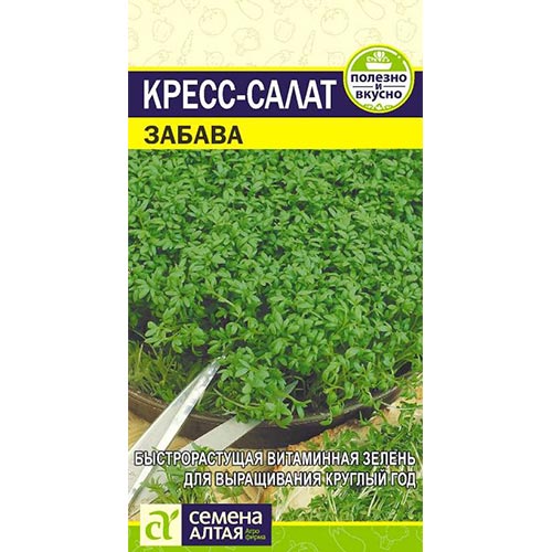 Кресс-салат Забава Семена Алтая