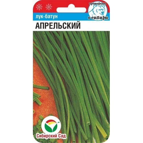Лук батун Апрельский Сибирский сад