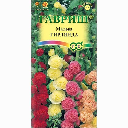 Мальва Гирлянда, смесь окрасок Гавриш