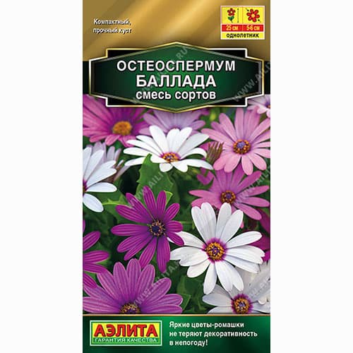 Остеоспермум Баллада, смесь окрасок Аэлита