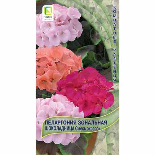 Пеларгония зональная Шоколадница, смесь окрасок Поиск