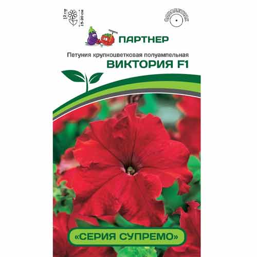 Петуния крупноцветковая полуампельная Супремо Виктория F1 Партнер