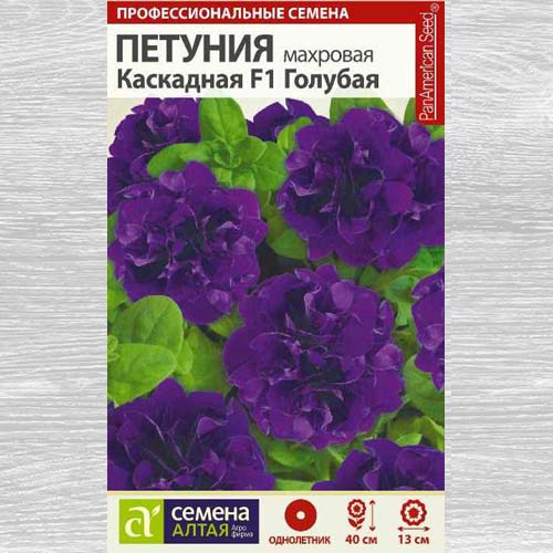 Петуния махровая каскадная Голубая F1