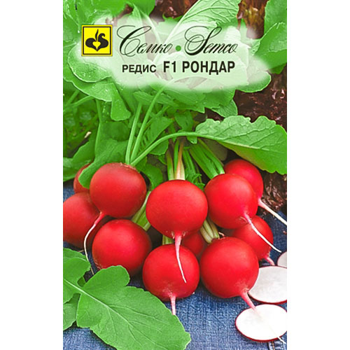 Редис Рондар F1 Семко