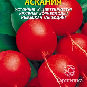 Семена  Редис Аскания  2 гр Плазменные семена