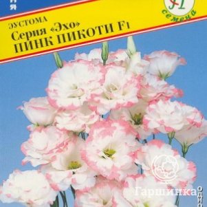 Семена Эустома Эхо Пинк Пикоти F1 10 др, Престиж