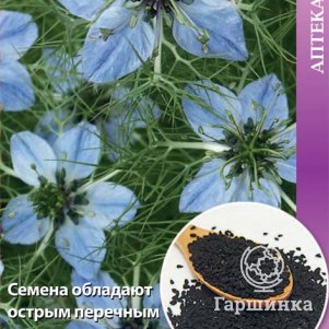 Семена Нигелла Посевная Дива 25