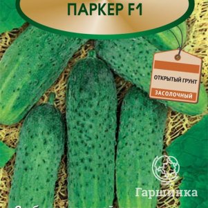 Семена Огурец Паркер F1 10