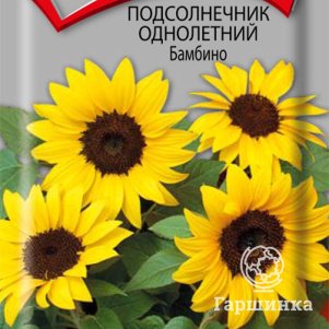 Семена Подсолнечник однолетний Бамбино 0,5