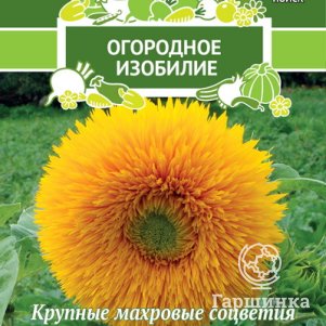 Семена Подсолнечник однолетний Солнышко 0,5