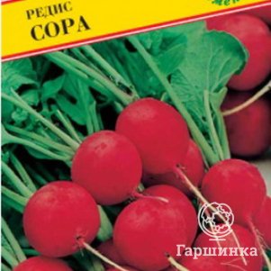 Семена Редис Сора 1 гр, Престиж