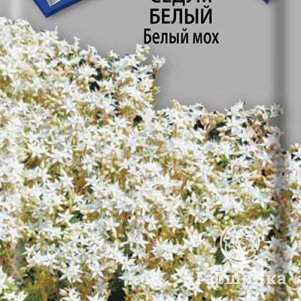 Семена Седум белый Белый мох 0,01