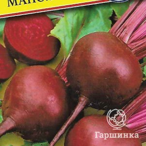 Семена Свекла ст. Маноло F1 1 гр, Престиж