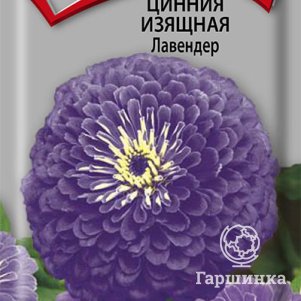 Семена Цинния изящная Лавендер 0,4