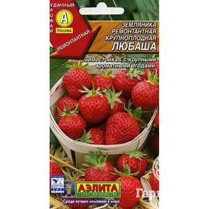 Семена Земляника Любаша ремонтантная