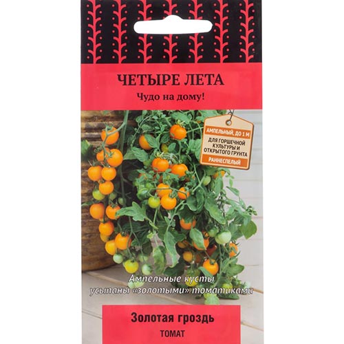 Томат Золотая гроздь Поиск