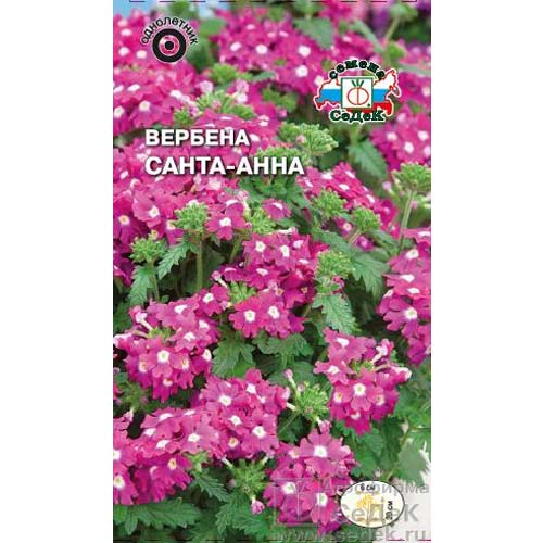 Вербена Санта-Анна Седек