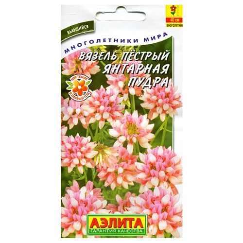 Вязель Янтарная пудра Аэлита