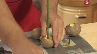 Как вырастить розу из черенка: "Проще простого!". лайфхак