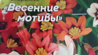 Какие ЦВЕТЫ сажать на рассаду в первую очередь?