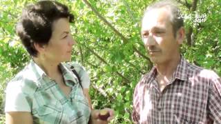 Как сажать алычу. Сайт "Садовый мир"