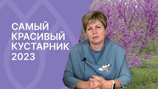 Этот кустарник станет самым популярным в 2023 году!