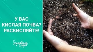 У вас кислая почва? Раскисляйте!