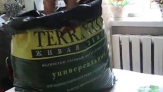 ВЫРАЩИВАНИЕ ПАССИФЛОРЫ ИЗ СЕМЯН! УСКОРЕННЫЙ МЕТОД
