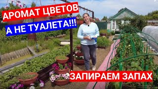 Засоры и запахи больше не проблема для дачного туалета - уникальное средство.