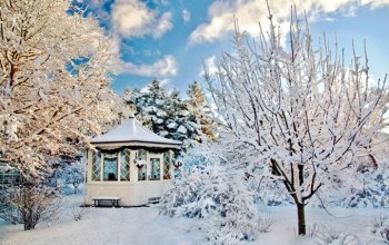 Лунный календарь огородника на декабрь 2019